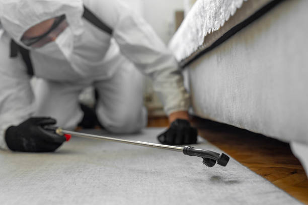 Professional Cockroach Control technician working in Buna, TX