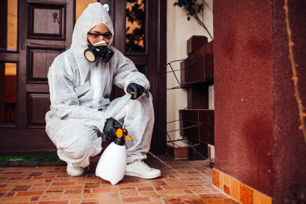 Reliable Cockroach Control contractor in Buna, TX by Nex Pest Control